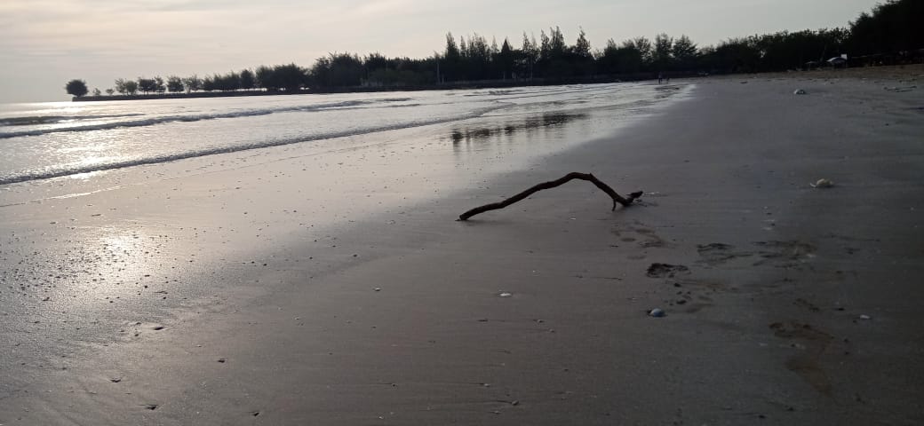 Pantai Cemara Tuban