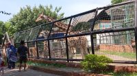 Maharani Zoo dan Goa