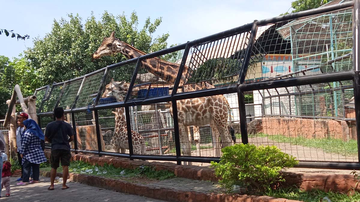 Maharani Zoo dan Goa di Lamongan